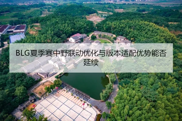 BLG夏季赛中野联动优化与版本适配优势能否延续